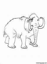 Mammoth Woolly Coloring Getdrawings Drawing sketch template