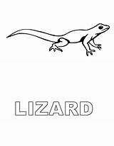 Lizard Jaszczurka Kolorowanki Dzieci sketch template
