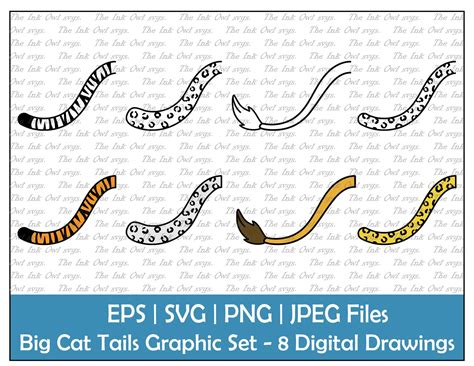 big cat tails vector clipart outline colored drawing etsy
