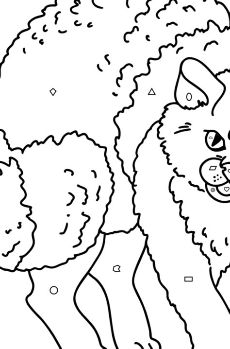 grumpy cat coloring page   print