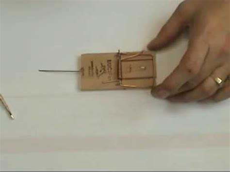 een houten muizenval klaarzetten youtube