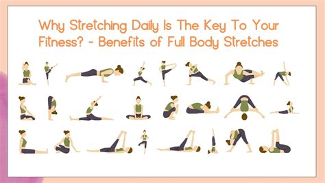 stretching daily   key   fitness benefits  full body