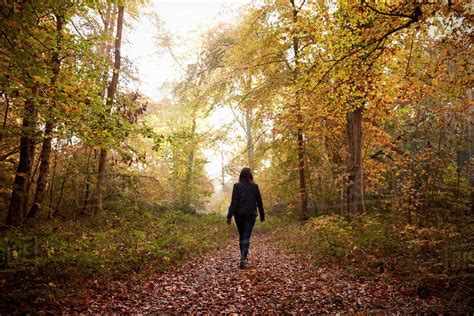 woman walking  path  autumn woodland stock photo dissolve