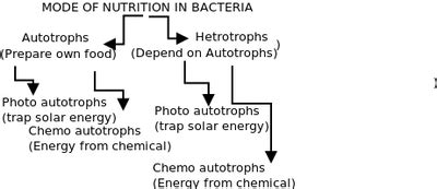 bacteria karnataka open educational resources