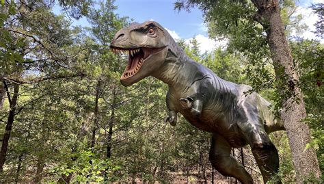 walk   trail  giant dinos   dinosaur park  family
