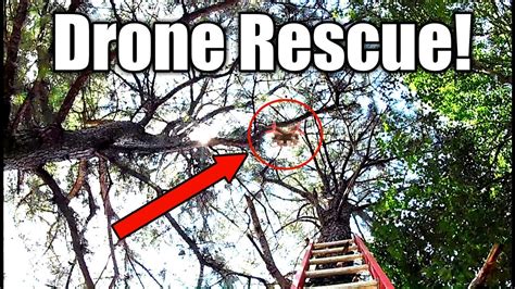 drone stuck  tree retrieval system youtube