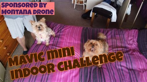 mavic mini indoor challenge youtube