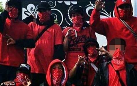 melbourne gang  reds imitating  crips  bloods daily mail