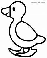 Coloring Duck Pages Printable Cute Color sketch template