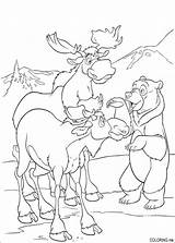 Bear Coloring Pages Brother Moose Disney Getcolorings Kleurplaat sketch template