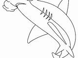 Coloring Shark Pages Hammerhead Goblin Mako Getcolorings Sharks Getdrawings Colorings Great sketch template