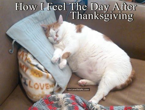 feel  day  thanksgiving pictures   images