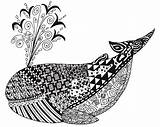 Adulte Baleine Whale Colouring Tangles Zentangle Colorier Drawings sketch template