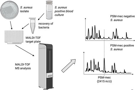 frontiers detection  antibiotic resistance  maldi tof mass spectrometry  expanding area