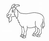 Goat Drawing Clipart Cartoon Draw Kids Clip Paintingvalley Kid Getdrawings Drawings Explore Webstockreview Collection sketch template