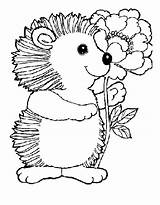 Hedgehog Coloring Cute Flower Children Pages Angels Little sketch template
