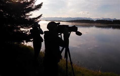 educational resources and activities for adults audubon alaska