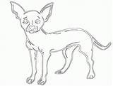Chihuahua Coloring Pages Simple Kids Print sketch template