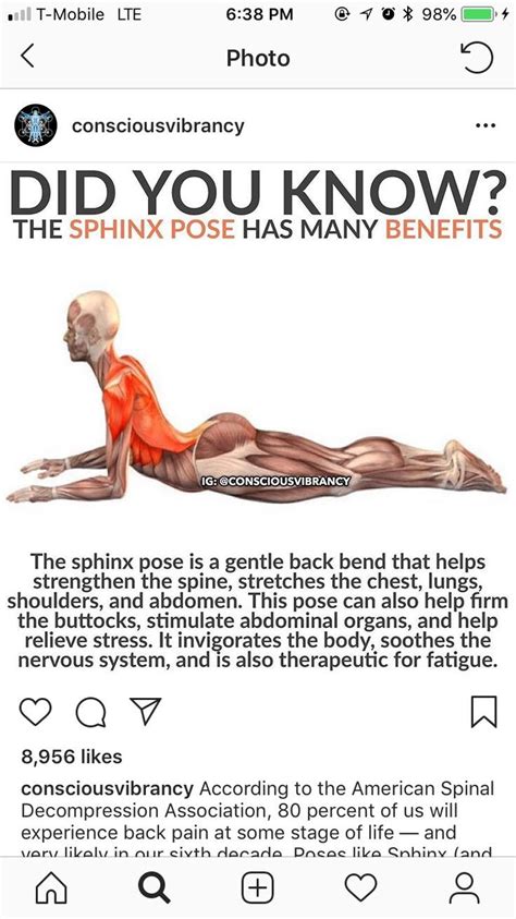 yoga poses yoga benefits easy yoga workouts yoga postures