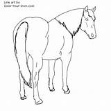 Horse Quarter Coloring Pages Color Back Traditional American Index Line Own sketch template