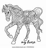 Coloring Horse Stress Anti Vector Isolated Drawn Hand Monochrome Sketch Shutterstock Stock Search Illustrations sketch template