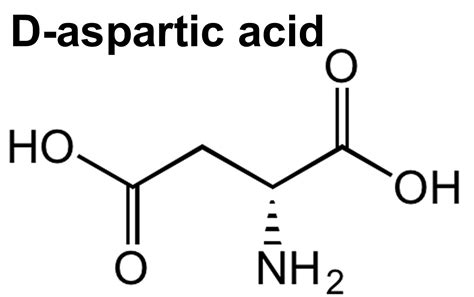 aspartic acid   aspartic acid benefits   aspartic acid work