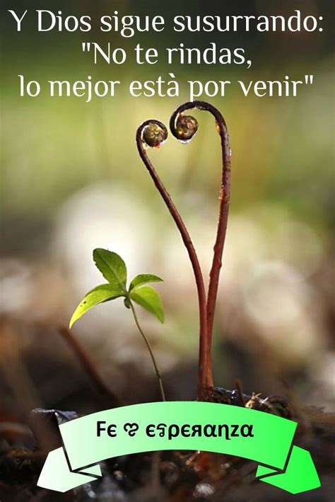 te rindas images  pinterest spanish quotes