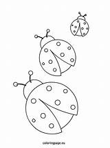 Ladybug Ladybugs Colorir Joaninha Coloringpage Ladybird Patterns Joaninhas Jumanji Coccinella Macetas Meninos Aplique Cut Riscos Mão Abrir sketch template