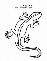 Lizard Coloring Pages Print Kids Printable sketch template