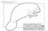 Coloring Pages Manatees Clipart Popular Library Coloringhome Line sketch template