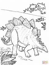 Coloring Dinosaur Stegosaurus Pages Printable Jurassic Kids Armored Park Colouring Dinosaurs Color Book Dino Print Activity Activities Adult Sheets Coloriage sketch template