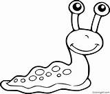 Slug Invertebrates Snail Coloringall Automatically sketch template