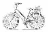 Draw Bicycle Drawing Coloring Bike Basket Pages Step Flower Flowers Supercoloring Fahrrad Mountain Tutorials Printable Sketch Von Kids Color Zeichnen sketch template