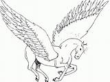 Pegasus Coloring Pages Unicorn Printable Flying Coloring4free Drawings Print Drawing Characters Kids Para Pegasos Colouring Unicorns Adults Wings Horse Filminspector sketch template