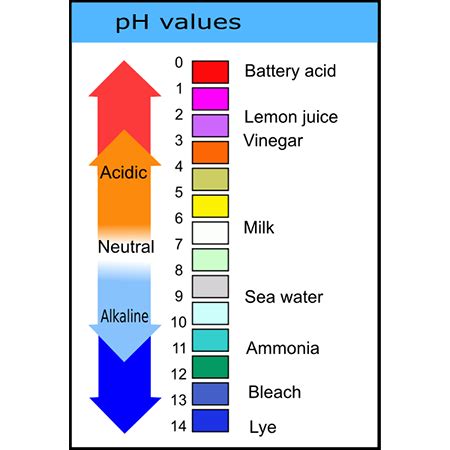 acidic basic neutral solutions overview ph scale  lesson studycom