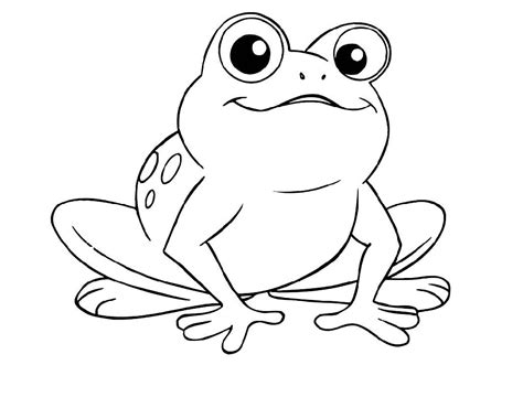 amphibian frogs coloring pages png  file