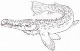 Gar Alligator sketch template