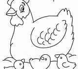 Coloring Hen Pages Jumbo Chicken Kids Jet Getdrawings Getcolorings Color Print Colorings Chicks sketch template