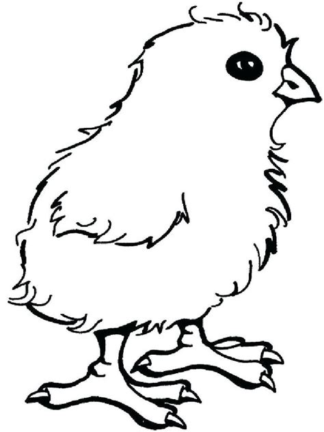 chicken  children coloring pages itucoloring