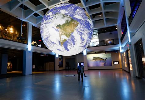 houston museum  natural science offers visitors  world   reopens