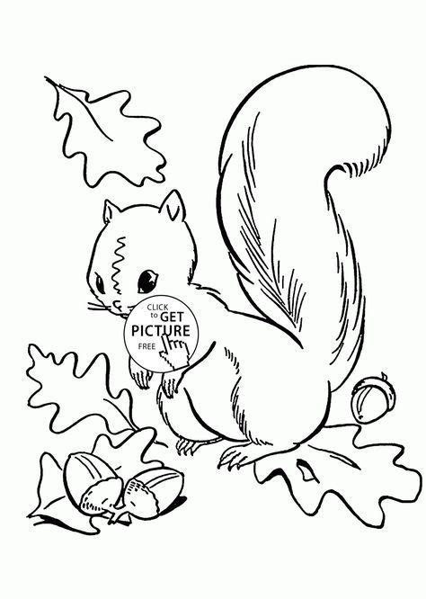 fall leaves  cute squirrel coloring pages  kids autumn