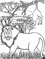 Lions Coloring Fun Kids Leeuw Votes sketch template