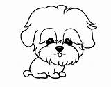 Coloring Maltese Pages Dog Colorear Dibujos Para Sausage Maltipoo Perro Con Color Maltes Dibujo Coloringcrew Perros Animales Animals Dogs Google sketch template