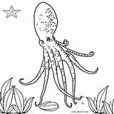 Octopus Coloring Pages Printable Giant Invertebrates Kids Cool2bkids Getdrawings Fish Template sketch template