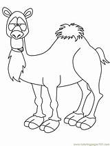 Camel Coloring Pages Printable Animals Template Animal Kindergarten Shape Crafts Preschool Templates Print Kids Color Results Students sketch template