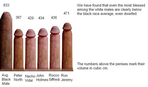 Average Black Vs White Pornstars  In Gallery Penis Size
