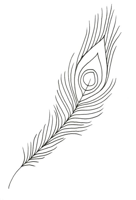 feather outline drawing  paintingvalleycom explore collection