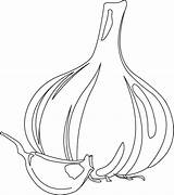 Alho Sayur Mewarna Tudodesenhos Bawang Bulb Sayuran sketch template