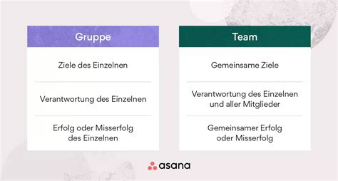 gruppe  team  ist der unterschied  asana