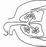 Lichaam Kleurplaten Corpul Menselijk Uman Colorat Anatomia Lungs Longen Biologia P21 Planse Primiiani Copii Desene sketch template